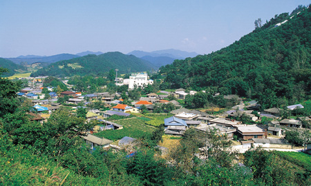 09행단전경